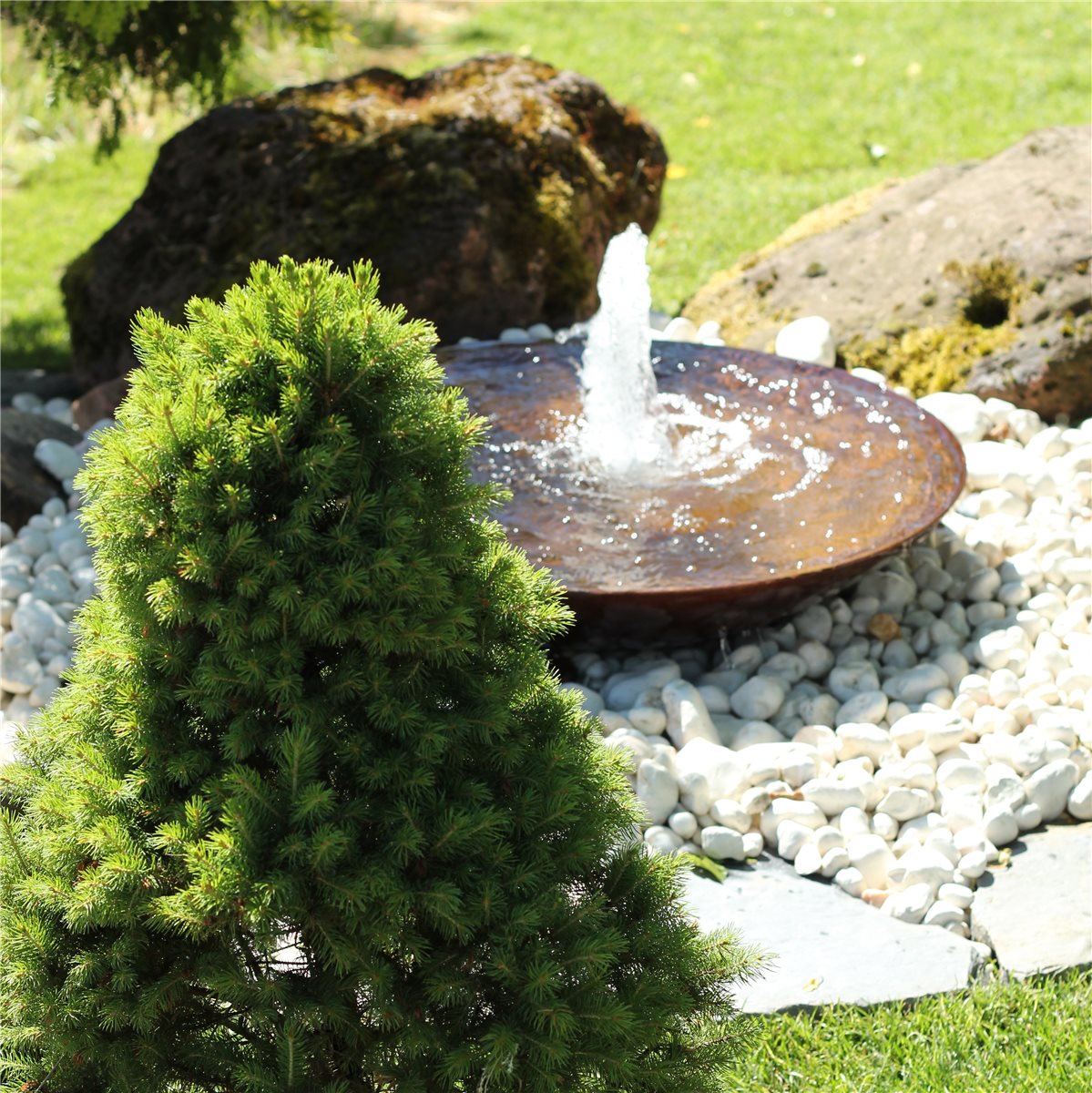 Cortenstahl Wasserschale 60 mit Fontäne Edelrost Springbrunnen Komplettset